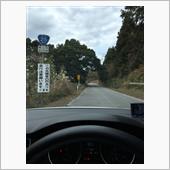 ひるようございまちゅ