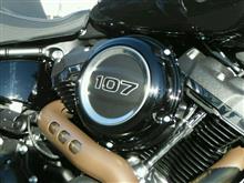 New Harley-Davidson Testride! New Harley-Davidson Testride!