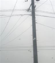 粉雪⁉️
