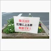 ドラマ「陸王」市内ロケ。