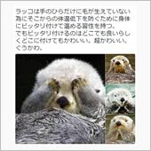∀･){良いテレビCMだと思 ...