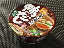 結局出掛けず休養日 結局出掛けず休養日