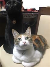 今年もあと少しですね 今年もあと少しですね
