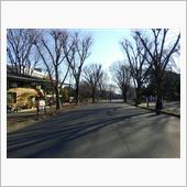 取り敢えず