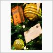 Dear Santa Claus