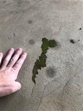 治ったと思ったところがお漏らしを