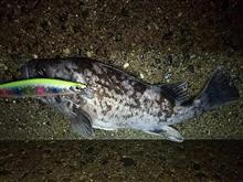 師走と 年末の釣果☆ 師走と 年末の釣果☆