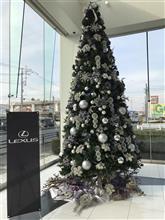 クリスマス🎄ツリー