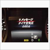 予想以上に降りました