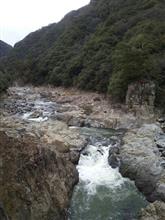 久しぶりに