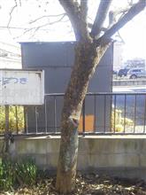 まだ着手していなかった物置