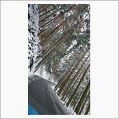 下手なりに雪道を楽しんでます