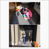 今日もバタバタと