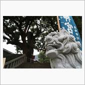 長崎 山王神社 被爆クスノキ ...