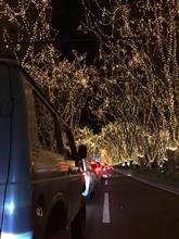 2017年