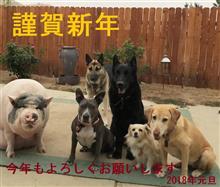 謹賀新年