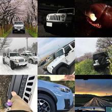 ラングラーのかがやき、2017。