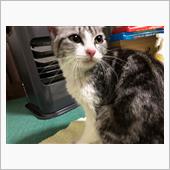 おミ〜ちゃん帰宅(=^x^=)