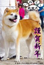 そうだもんね、戌年なら・・