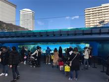 ☆東京旅行２０１７冬☆　サンシャイン水族館編