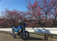 新春〜バイクで初散歩(^O^)／