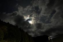 今年の初温泉は何処行こうか