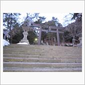 遅くなりましたが・・・