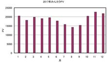 2017年みんカラPV