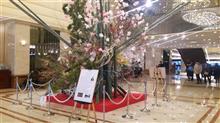 久しぶりの再会でランチ　～スカイラウンジ　「オーロラ」（京王プラザホテル（新宿））～