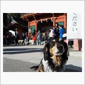 本年もよろしくお願いします。
