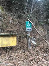 椎葉林道〜椎矢峠 椎葉林道〜椎矢峠