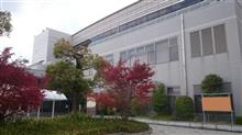 免許更新 免許更新