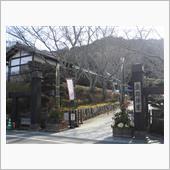 葉ボタンの干支