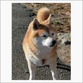むさしの村で柴分を補給する。