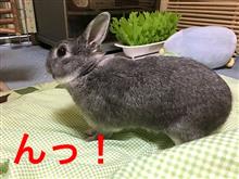どぉんなんよりっ♪いかしてんだっ君のはぁ〜♪ どぉんなんよりっ♪いかしてんだっ君のはぁ〜♪