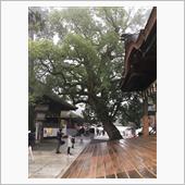 金毘羅さんへ初詣 (o^^o ...