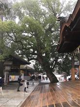 金毘羅さんへ初詣 (o^^o)♩