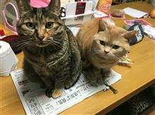 祝・みんカラ歴9年! 祝・みんカラ歴9年!