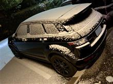 物足りなさが。。。