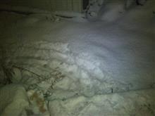 雪でハマってさあ大変~♪ 雪でハマってさあ大変~♪