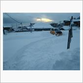 大雪･･･！！ｳﾋｨｨ(;ﾟ ...