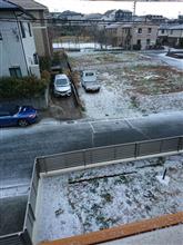 今年初積雪を観測