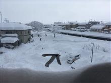 やっぱりこの時期の新潟は大雪なのね。。。