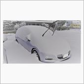 雪降りましたね