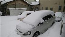 雪が半端ない…