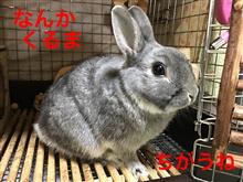 ぼくらはっ♪だんだん♪ヤなやつになっていくぅ♪ ぼくらはっ♪だんだん♪ヤなやつになっていくぅ♪