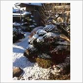 積雪。