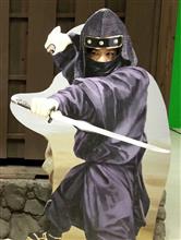顔パネル群