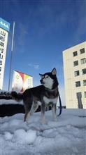 2018戌年の歩き初めも張り切ってぇ～♪