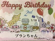 ブランの誕生日🐩